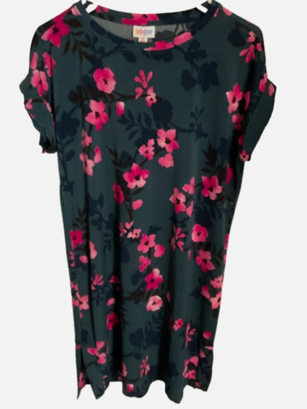LuLaRoe Chelsea T Shirt Dress Size XS Blue Pink Floral Short Sleeve Crew Neck